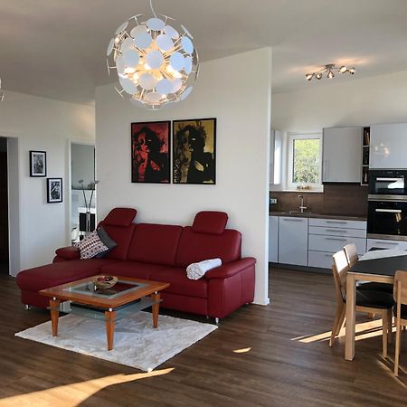 A&N Prestige Apartments "Attika" Close To Basel And Rhine River Grenzach-Wyhlen Bagian luar foto